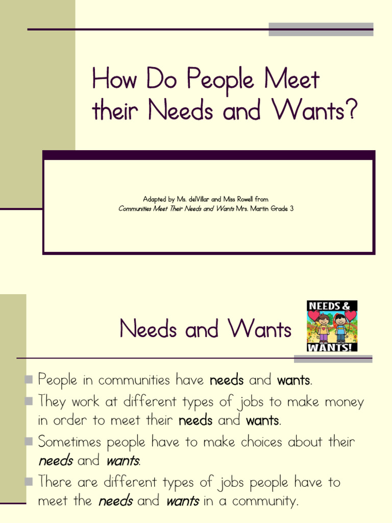How do people meet their needs and wants pdf
