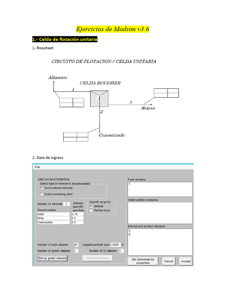 Ejercicios Modsim: Flotación y Celdas | PDF | Tecnología