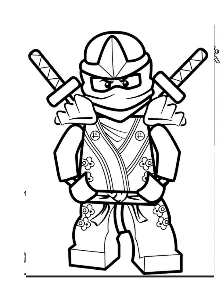 Ninja | PDF
