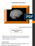 Neuropsihologie Clinica Curs 10