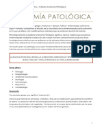 Metodologia Aplicada A La Patologia