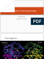 Hemoglobin Electrophoresis 2