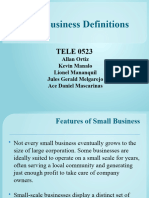 Small Business Definitions-Group 1.