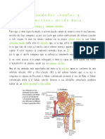 Renal Completo