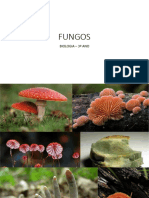 Fungos - Material Auxiliar