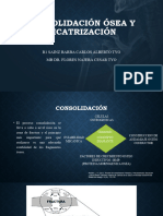 Consolidación Ósea y Cicatrización