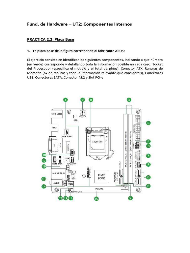 Hardware | Descargar gratis PDF | Microprocesador | Compatibles con PC Ibm