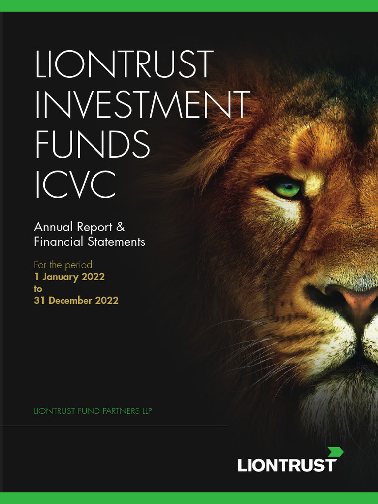 Investment Funds Icvc Annual Report PDF Going Concern Financial Audit