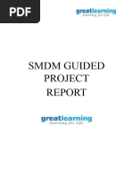 SMDM Guided Project Report