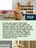 Curso Galletas Caseras para Perros