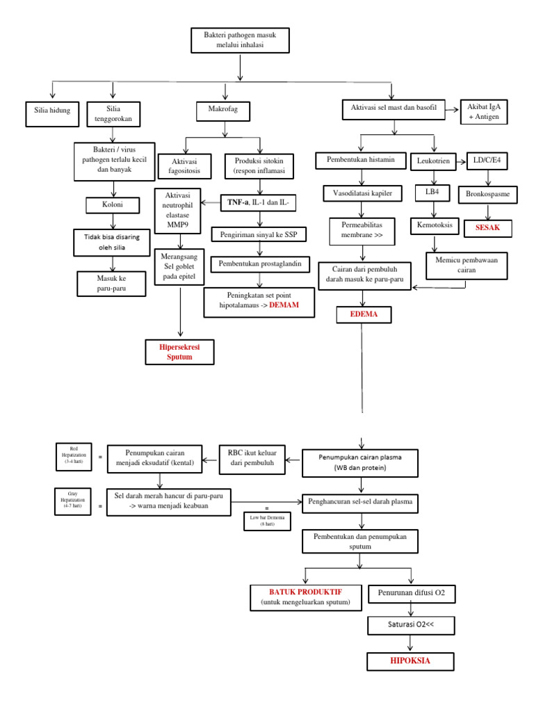 patofisiologi-pneumonia-pdf