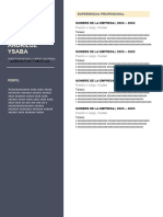 215 Curriculum Vitae Plantilla CV Word Gratis