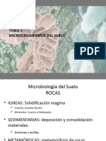 Microbiología Del Suelo