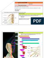 Teóricos de Anatomía 6