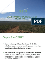 Apresentação CEFIR1