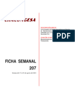 Ficha Semanal N°207 Acc. Internos CV