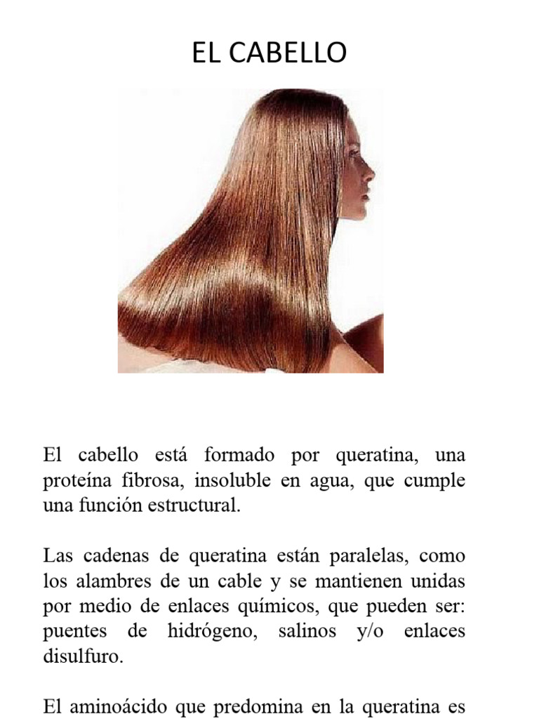 Estructura y cuidado del cabello | PDF | Pelo | Champú