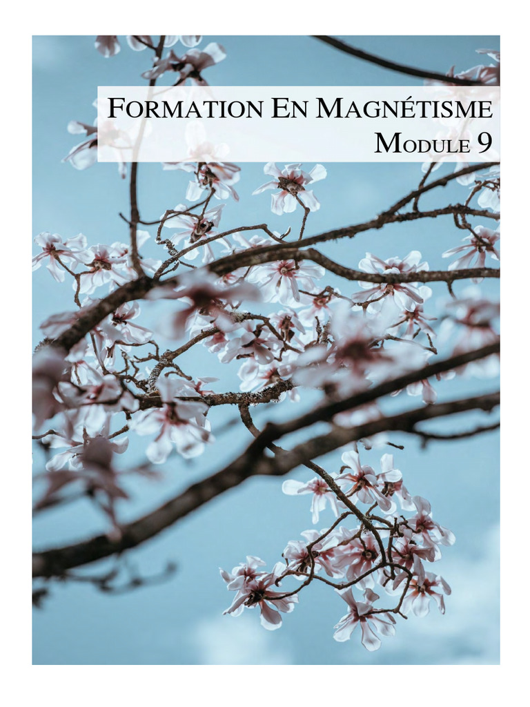 Module 9 Champs d Applications Du Magne Tisme Les Troubles Mentaux Et c ...