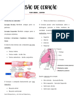 Apg 01 - Revisã o de Coraã Ã o