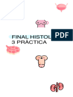 Final Práctica Histologia