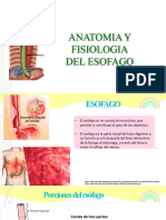 Anatomia Del Esofago