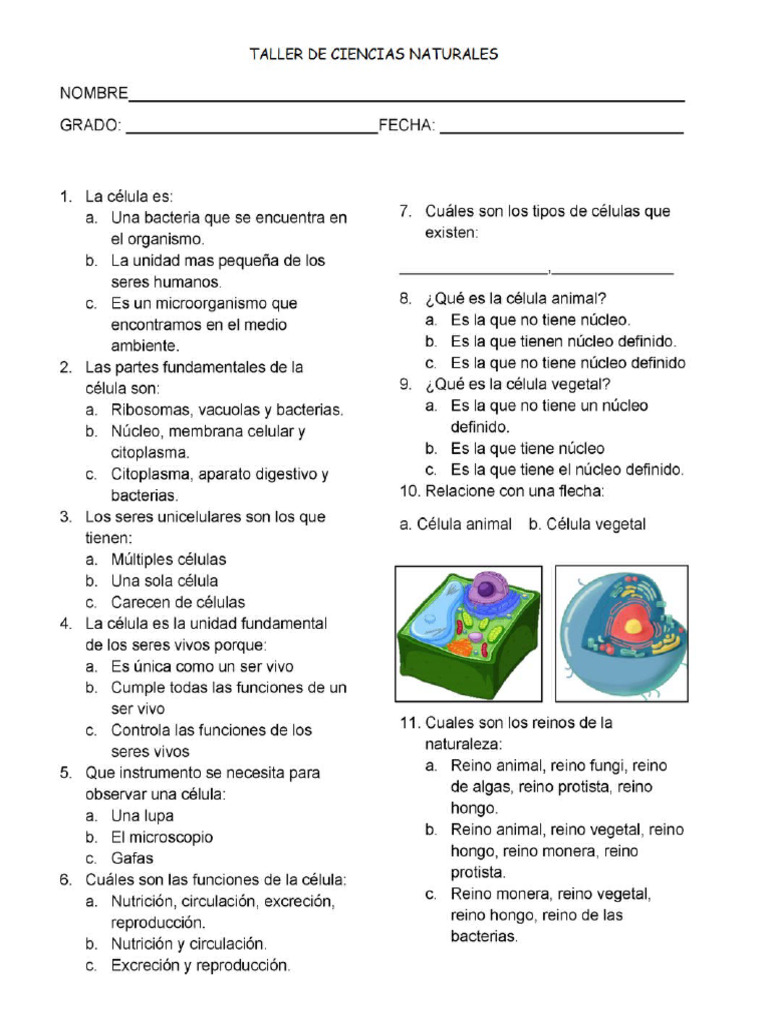 Cuarto - Taller Tipo Icfes de La Celula | PDF