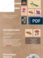 Clase No. 1. Introducción A La Entomología