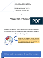 Psicologia Cognitica + TCC