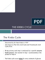 6 - Krebs Cycle