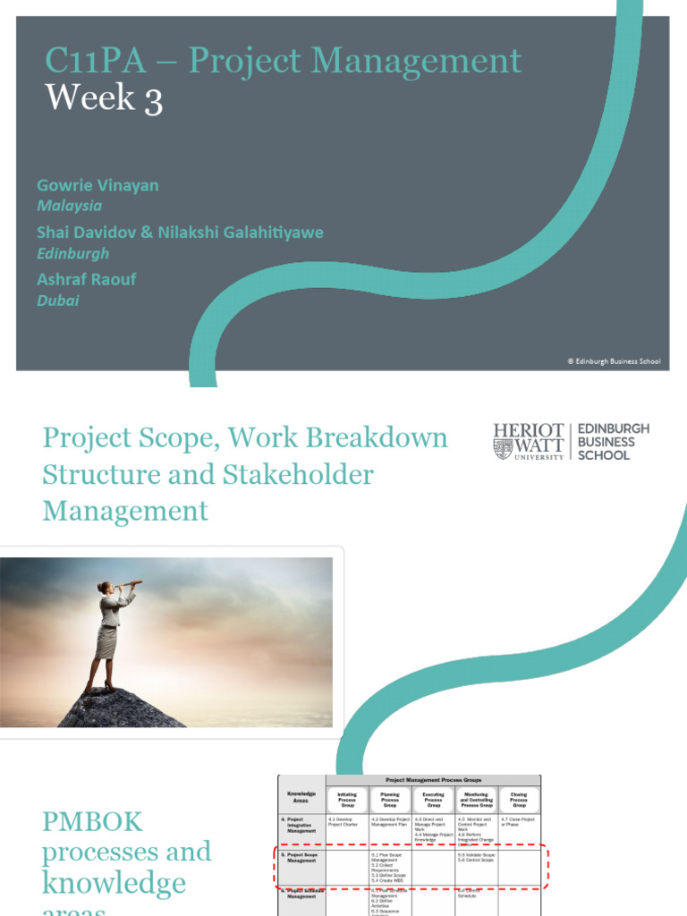 Project Scope and Management Essentials | PDF | Business