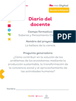 Diario Del Docente-4