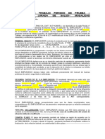 Copia de COPIA MATRICE CONSULTING S.A. - CONTRATO DE TRABAJO PERIODO DE PRUEBA - Trabajador Con HOME OFFICE (MC)
