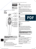 Oips Stage 6 Workbook Answers