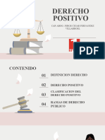 Tema 1 Derecho Positivo