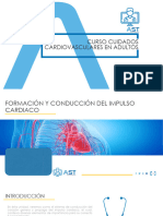 Anatomía Cardíaca 2
