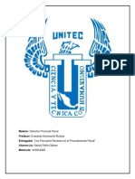 Derecho Procesal Penal