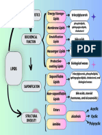 CONCEPT MAP CHARACTERISTIC OF LIPIDS (Dick Andrew Rodriguez)