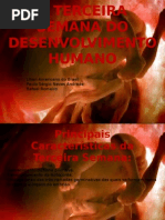 A Terceira Semana Do to Humano-Anatomia