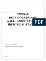 Fungal Deterioration of Walls and Statues in Historical Structures