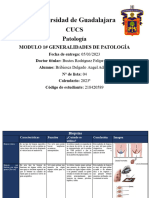 Modulo 1# Generalidades de Patología - Aabd