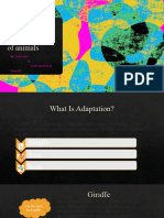 ADAPTATION