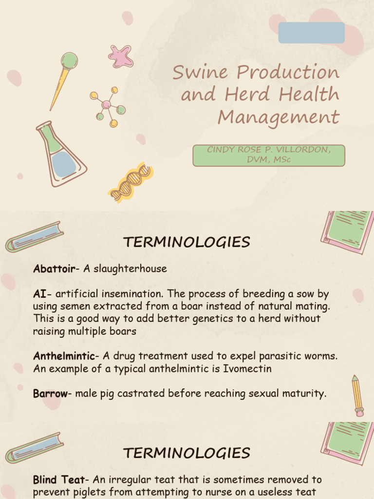 Swine Terminologies and Health Insights | PDF