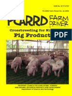 3 - Crossbreding For Slaughter Pig Production - Beta - 355450
