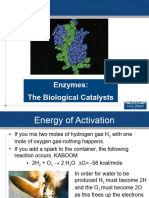 Chem Enzymes