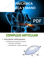 Biomecànica Muñeca y Mano 20-21