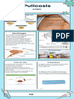 Infografia Informacion de Salud Ilustrativo Sencilla Celeste y Blanco - 20240309 - 065010 - 0000