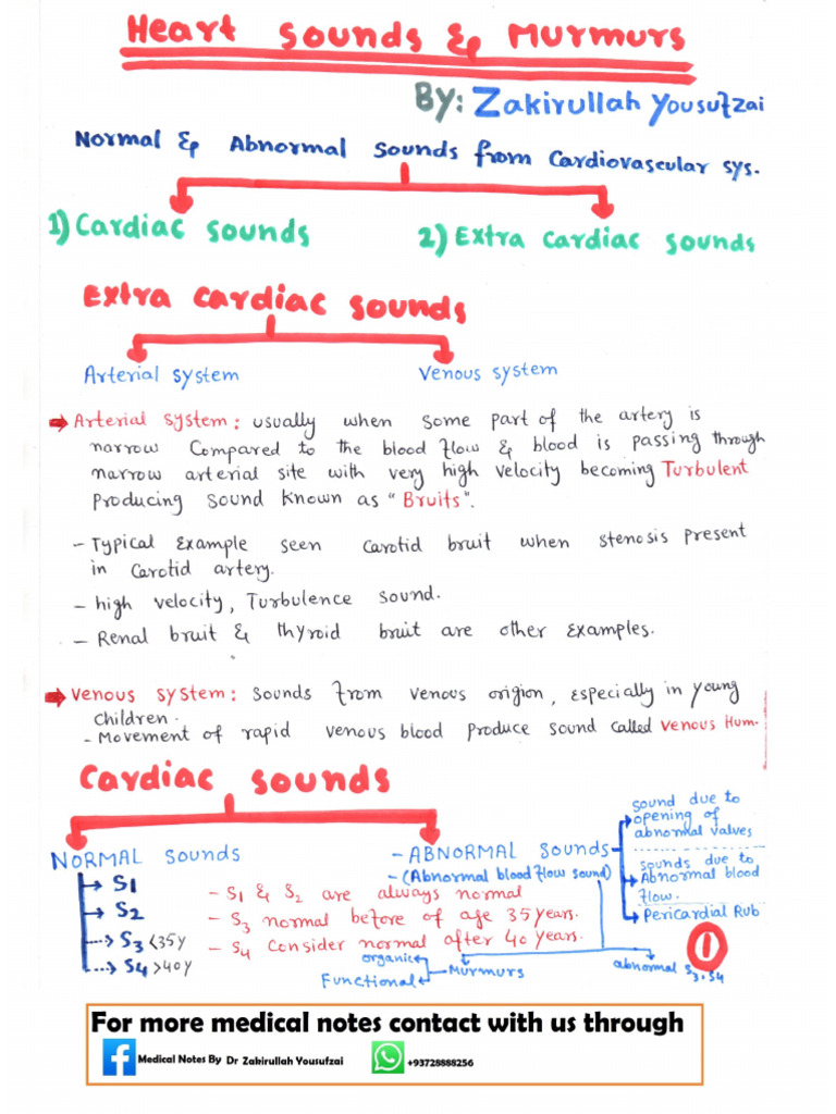 4 Heart Sounds & Murmurs | PDF