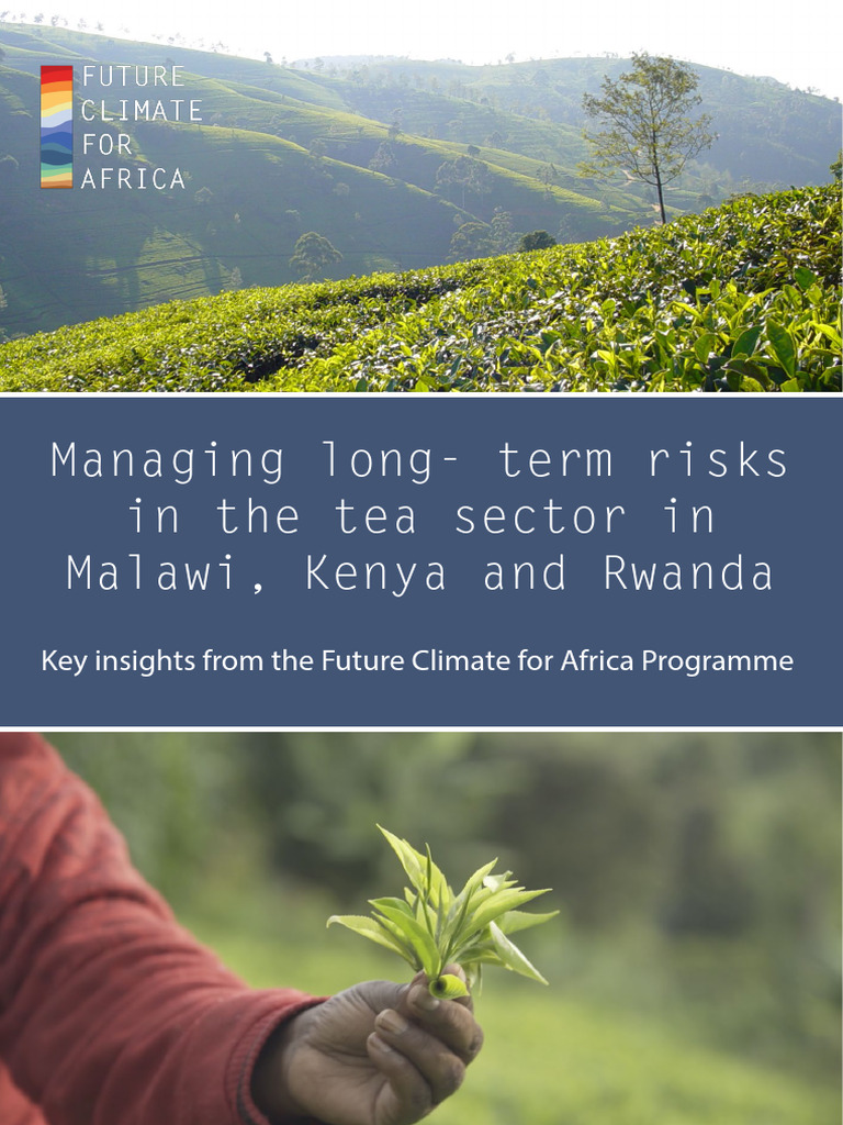 FCFA Tea Synthesis Report Final 2021 | PDF | Rain | Drought