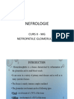 Curs de Nefrologie MG Anul V - II