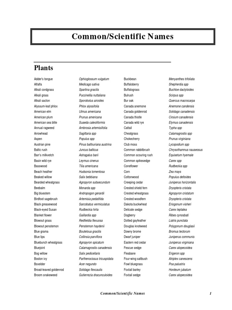 Common and Scientific Plant Names List | PDF | Holarctic Birds